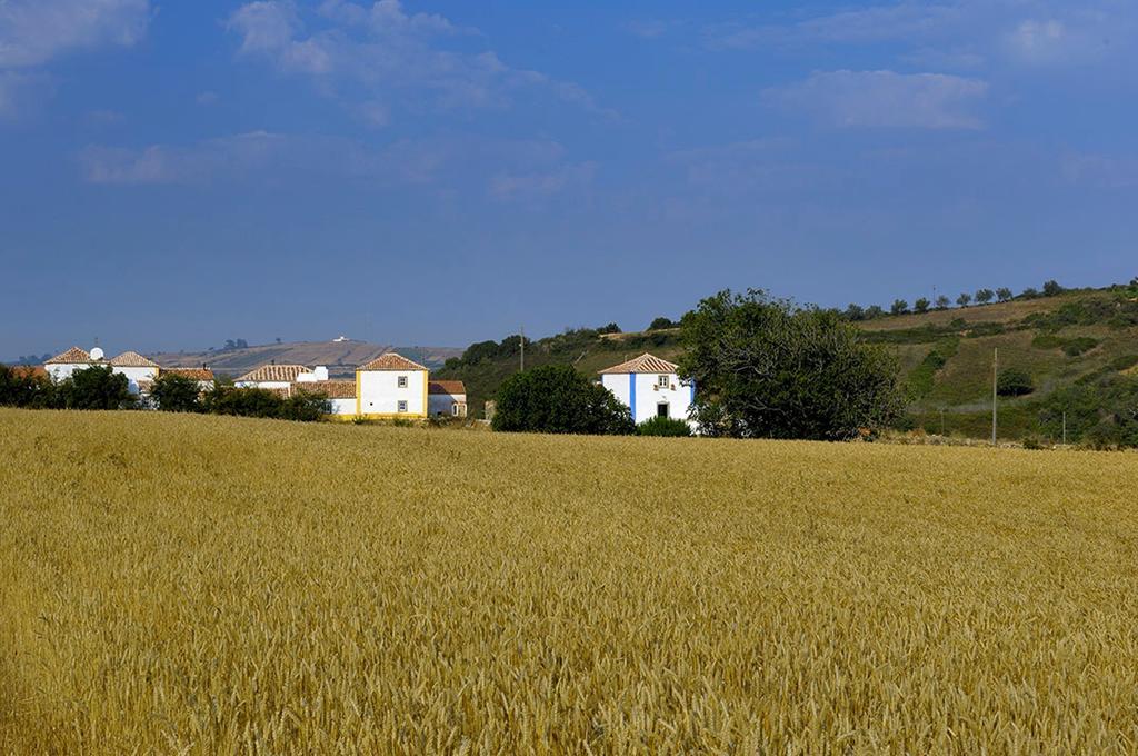 Aldeia Da Mata Pequena Hotel Mafra Ngoại thất bức ảnh