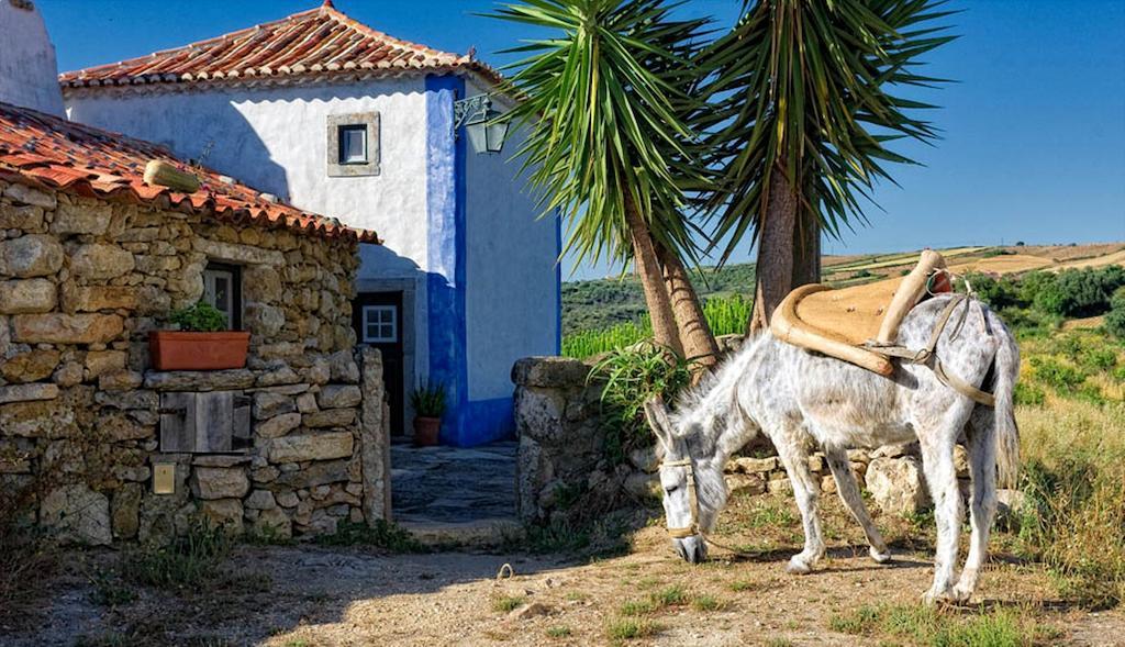 Aldeia Da Mata Pequena Hotel Mafra Phòng bức ảnh